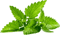 免费电话在线轰炸